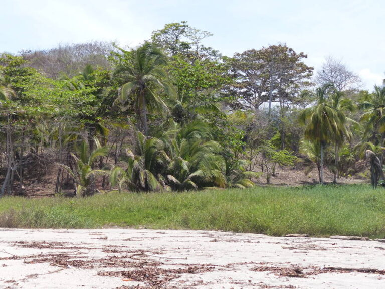 mendihuaca046