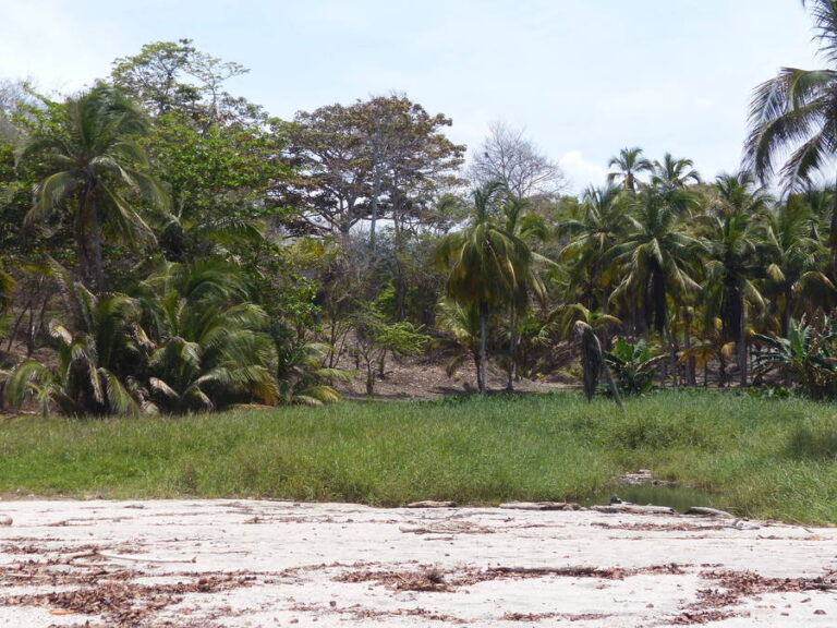 mendihuaca047