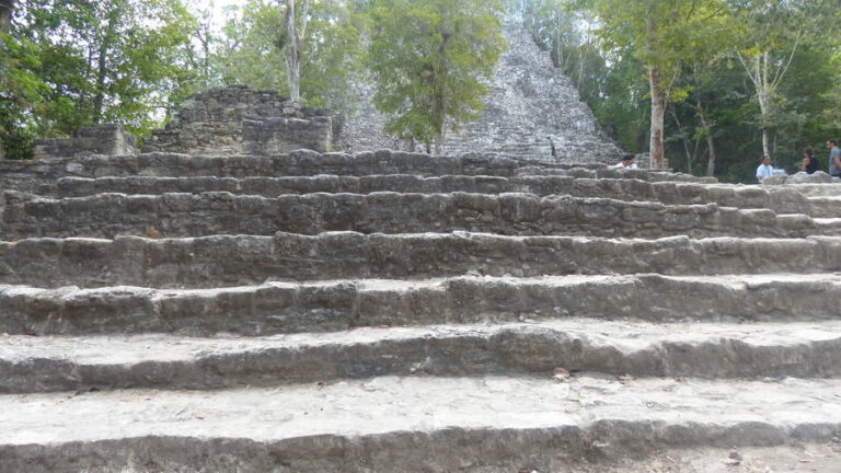 coba005