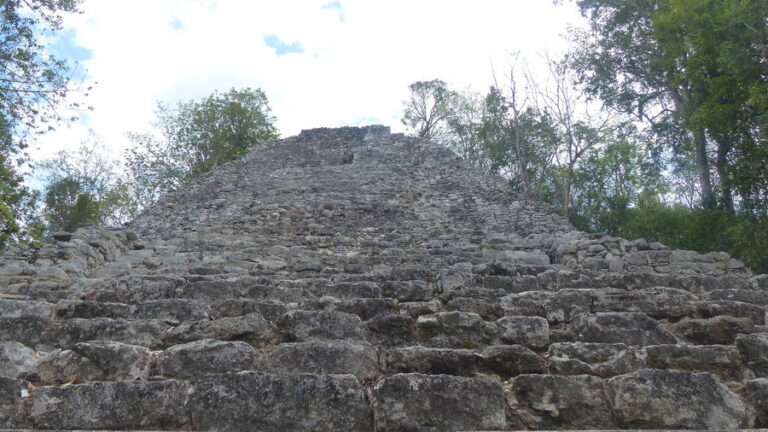 coba009