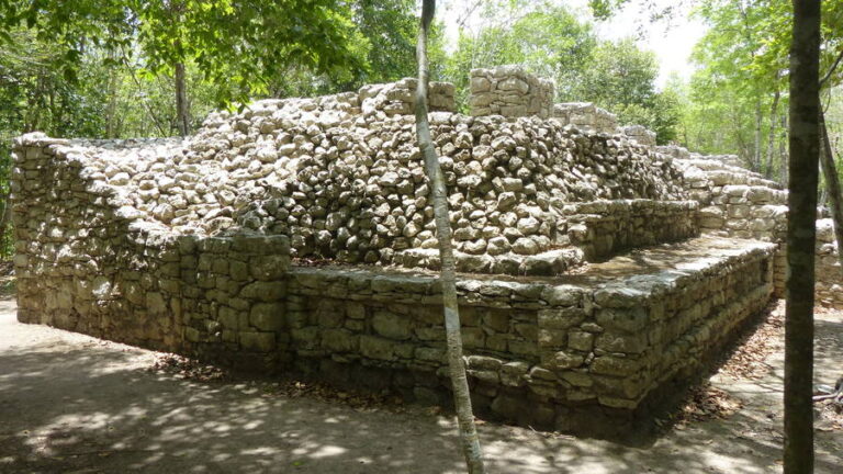 coba081