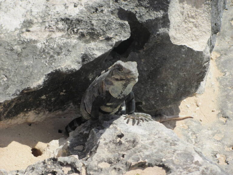 tulum021