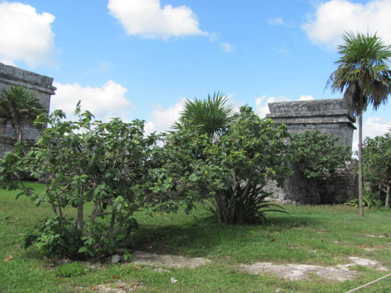 tulum041