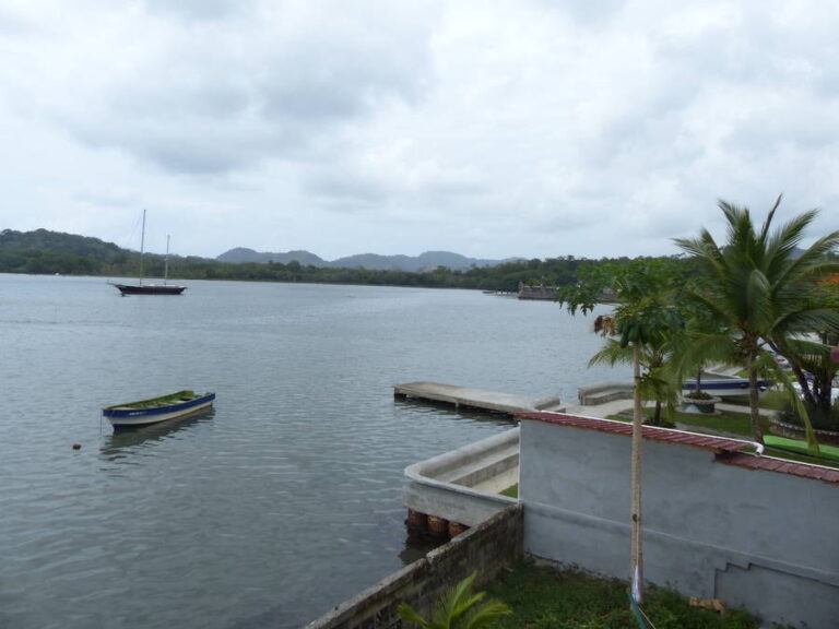 portobelo005