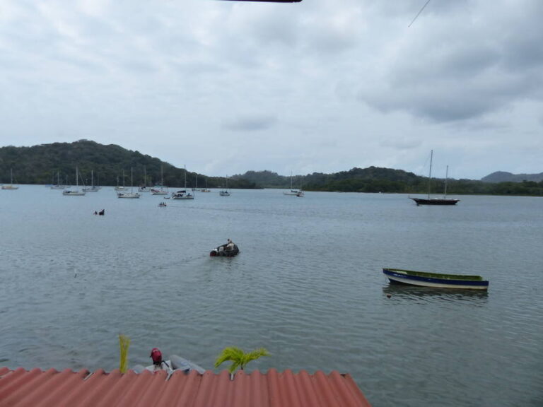 portobelo009