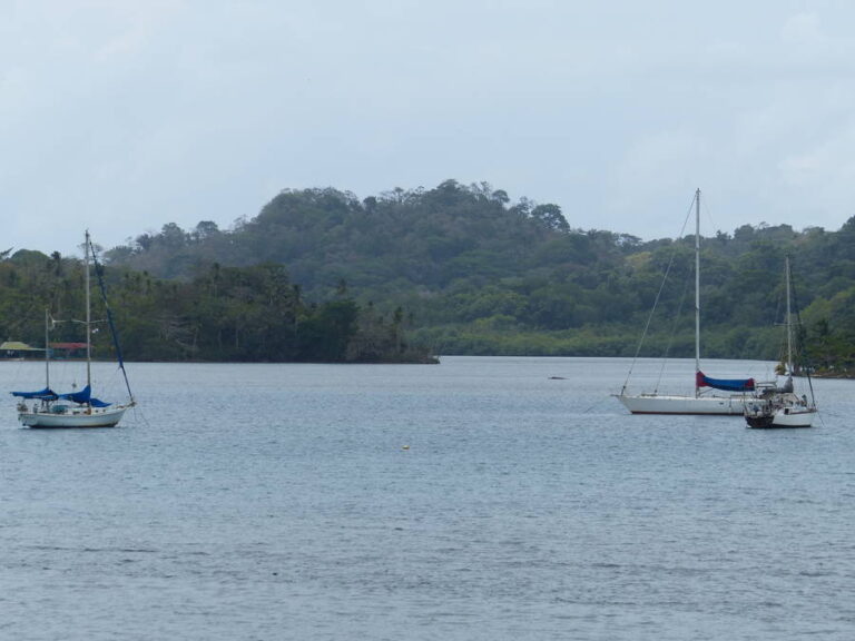 portobelo011