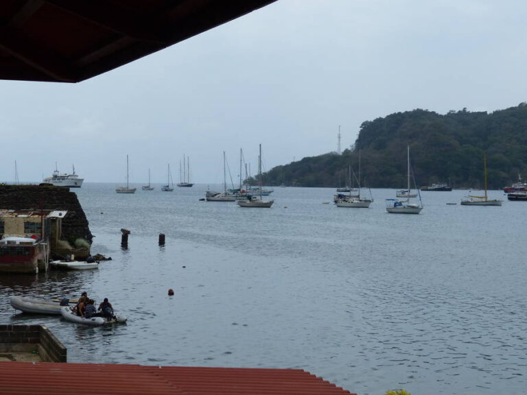 portobelo013