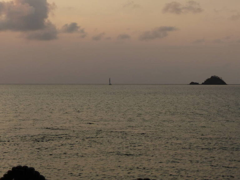 portobelo023