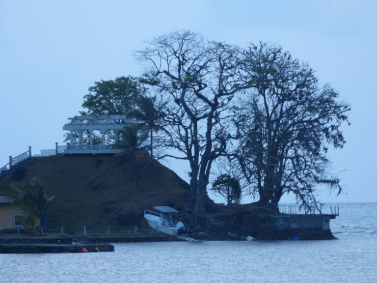 portobelo053