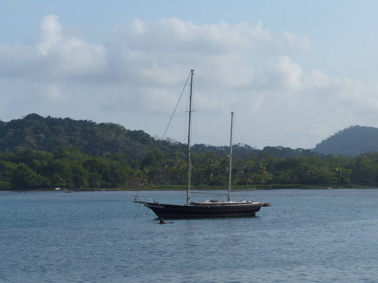 portobelo167