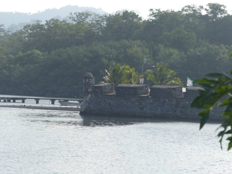 portobelo169