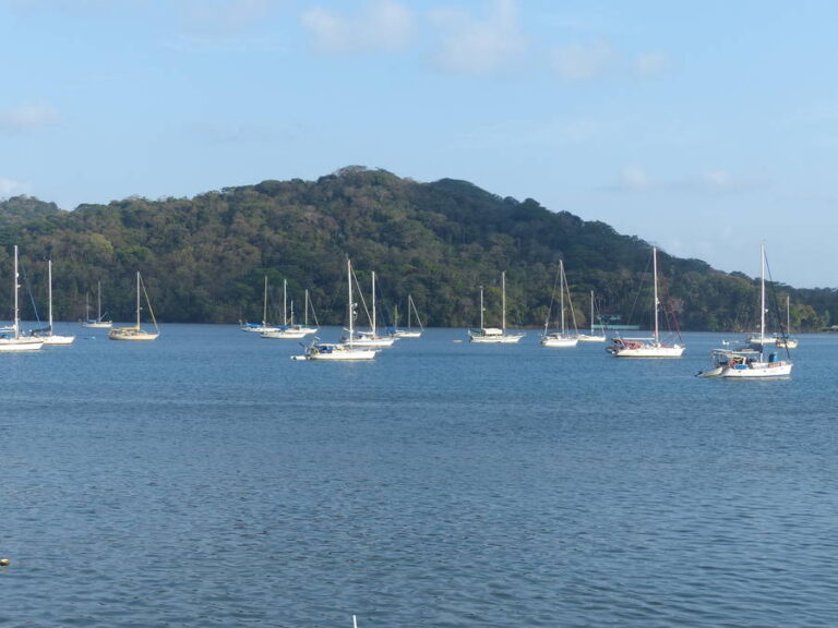 portobelo171