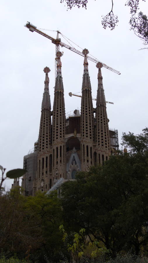 barcelona097