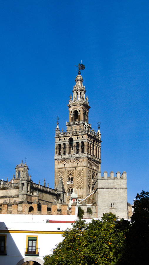 sevilla153