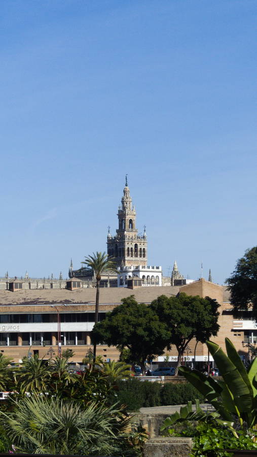 sevilla177