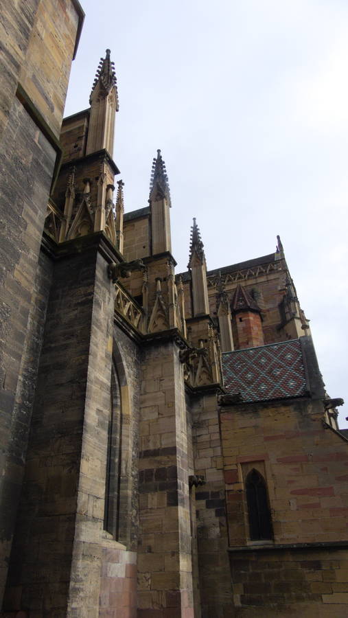 colmar055