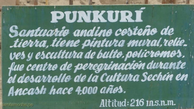 punkuri 018