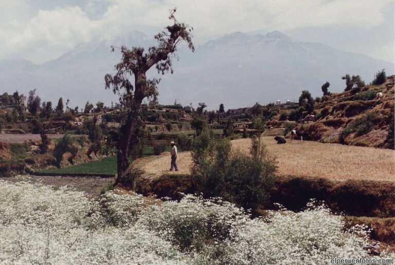 colca 003