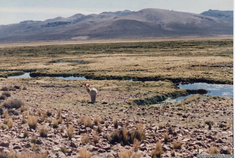 colca 005