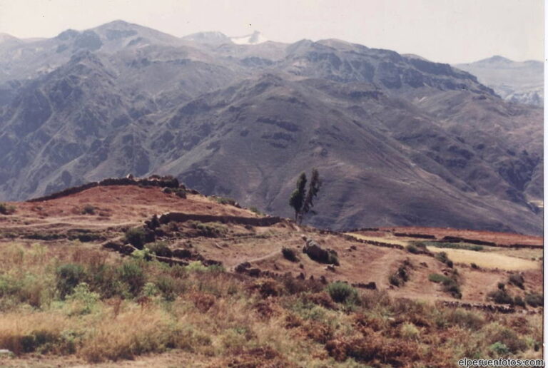 colca 009