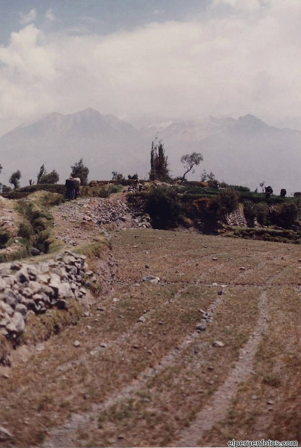 colca 016