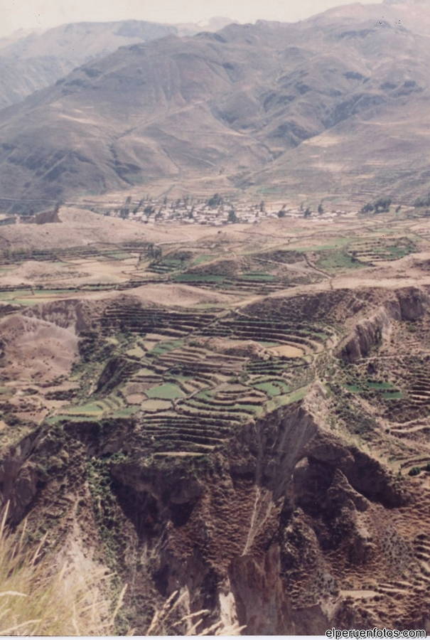 colca 018