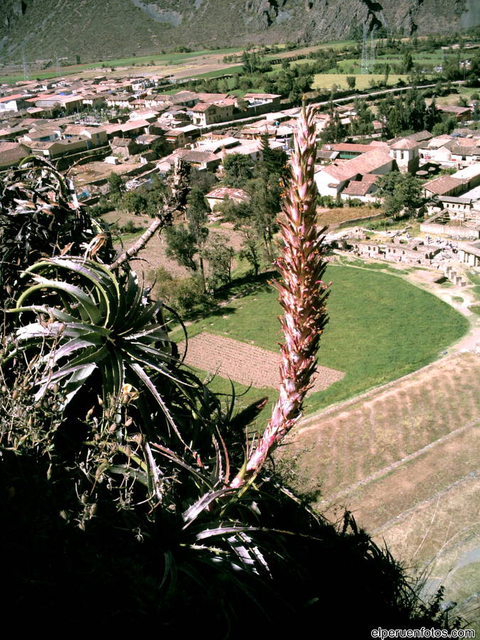 ollantaytambo 006