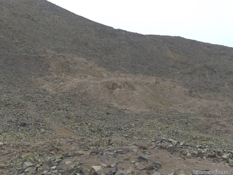 nazca campo 001