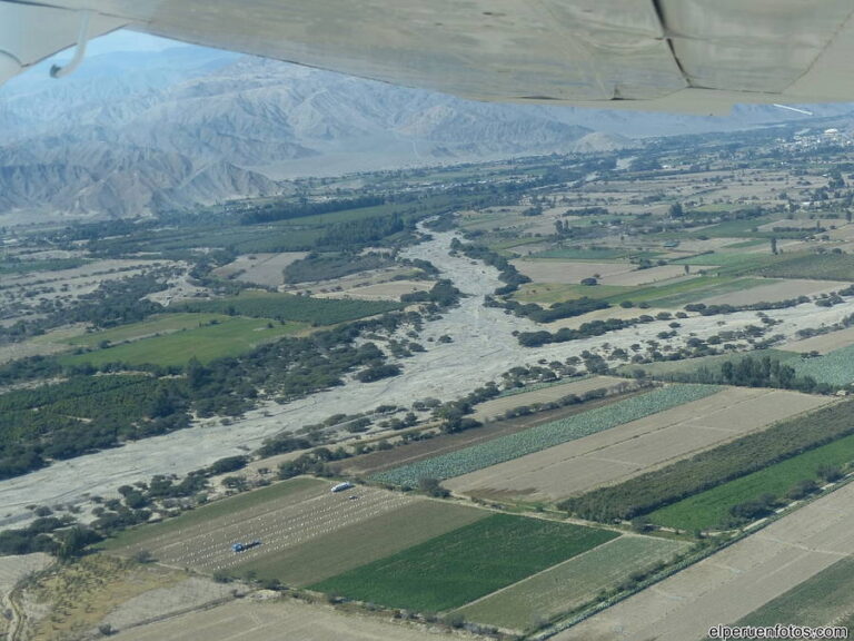 nazca campo 016