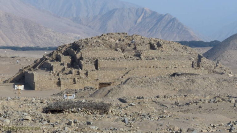 caral 031