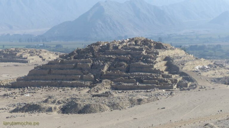 caral 037