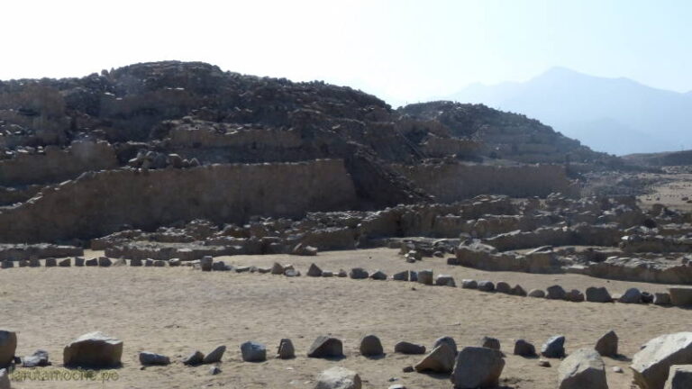 caral 049