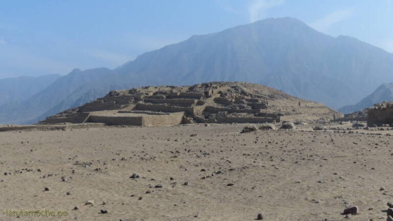 caral 063