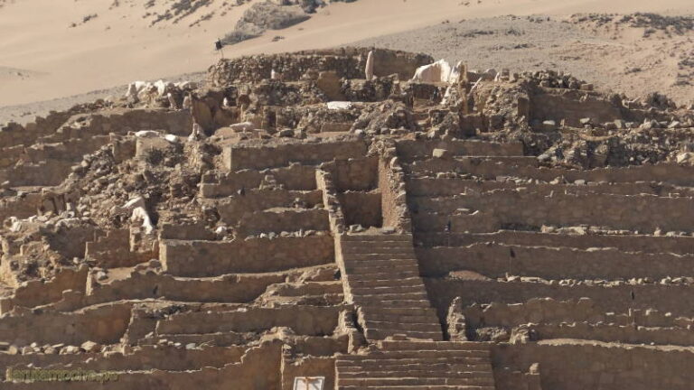 caral 124