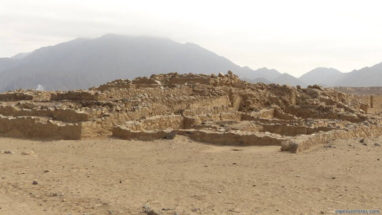 caral 143002