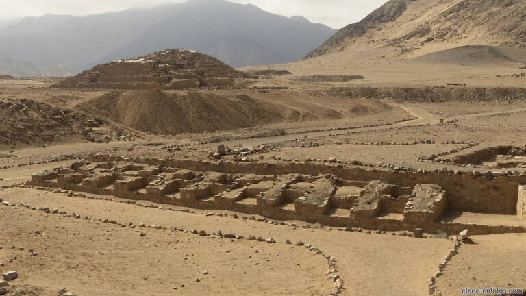 caral 143006