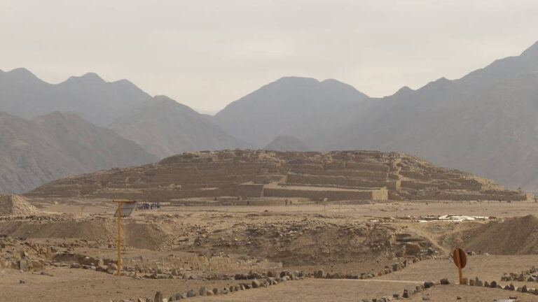 caral129