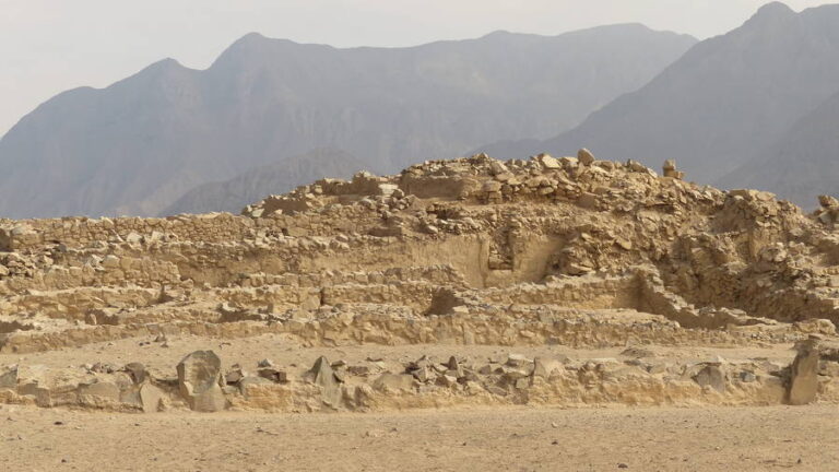 caral133