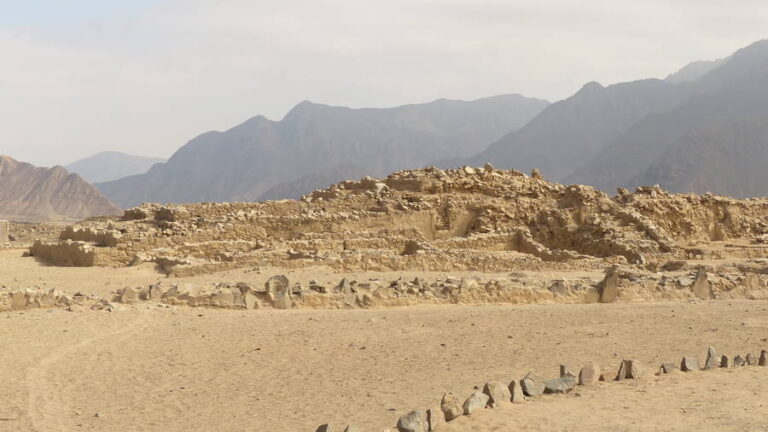 caral134