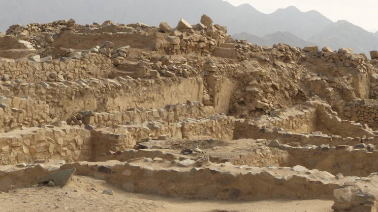 caral138