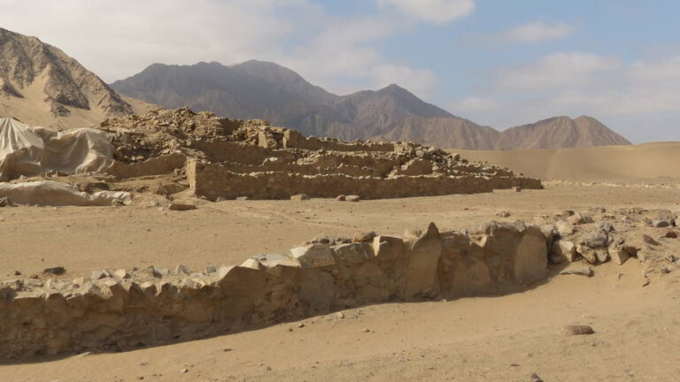 caral140