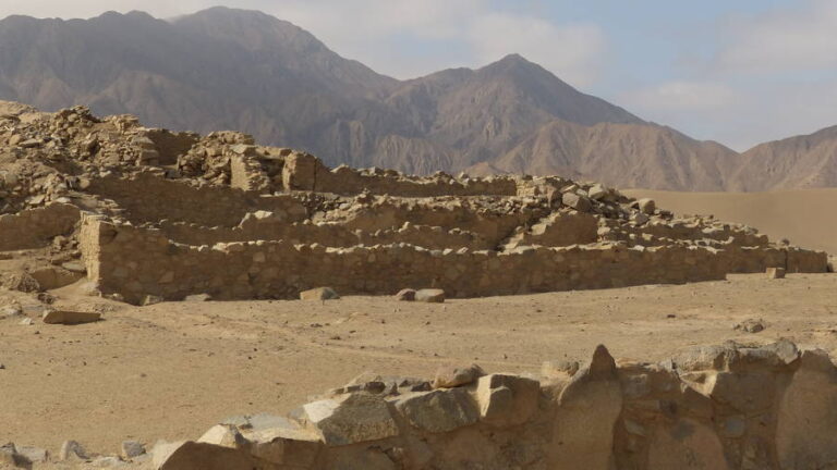 caral141