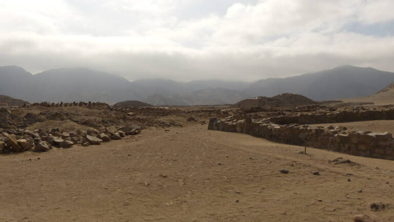 caral142