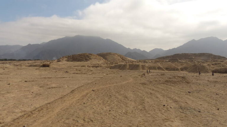 caral143