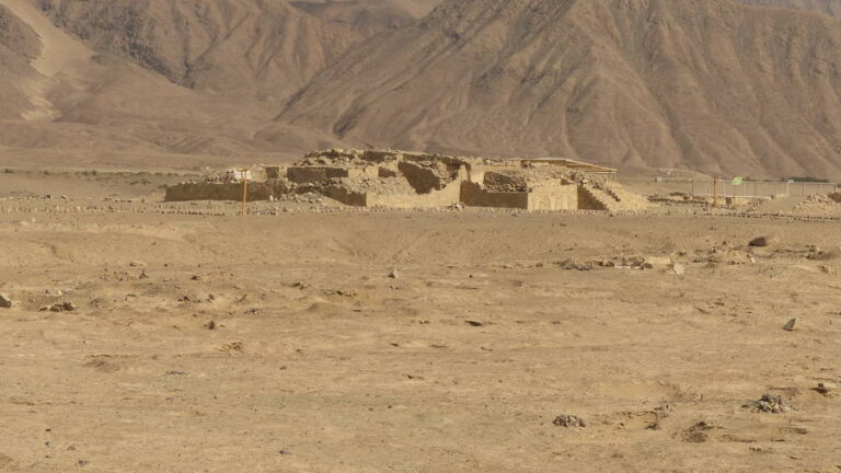 caral153