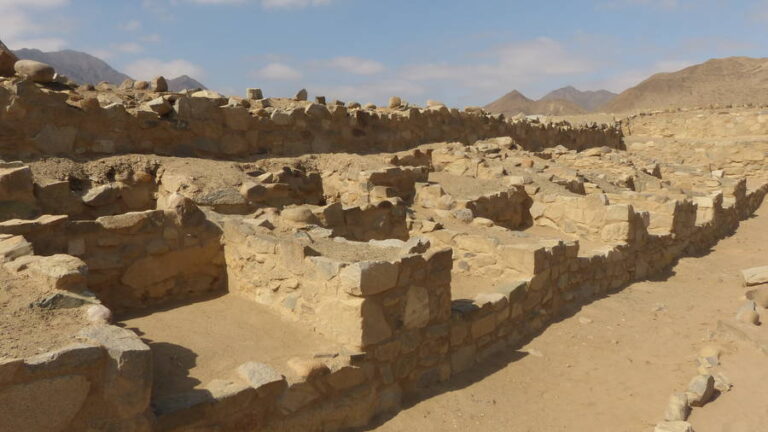 caral155