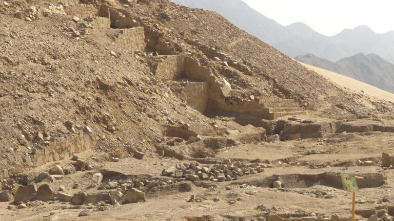 caral174