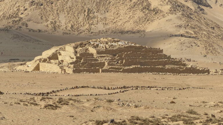 caral181