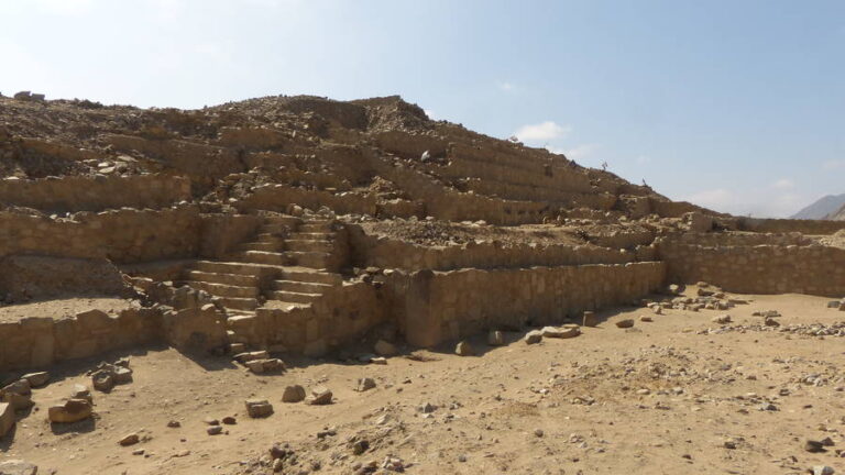 caral195