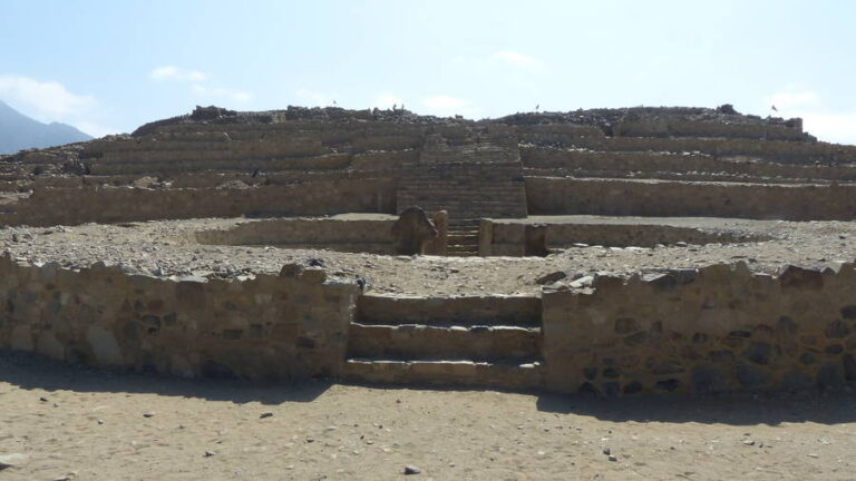 caral203